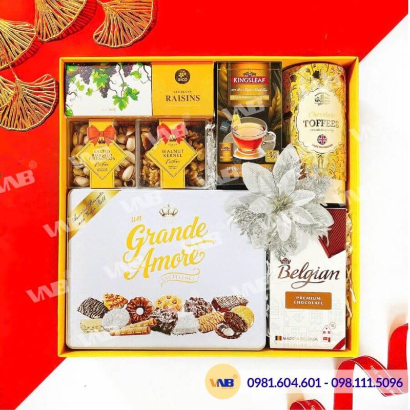 Hộp quà Tết HQ261163