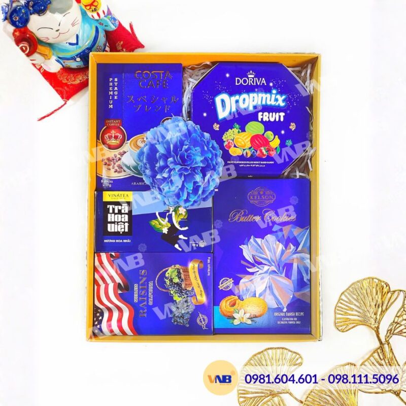 Hộp quà Tết HQ260320