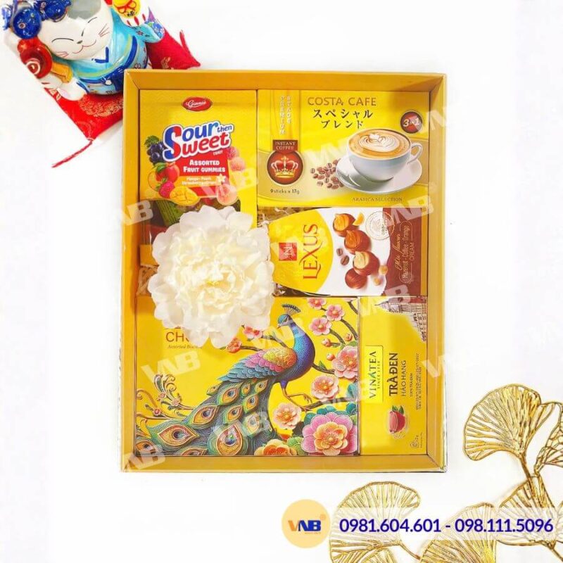 Hộp quà Tết HQ260325