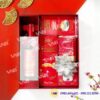 Hộp quà Tết HQ260356