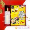 Hộp quà Tết HQ260384
