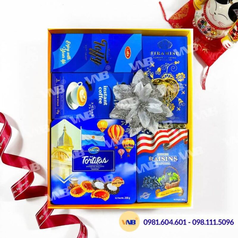 Hộp quà Tết HQ260445