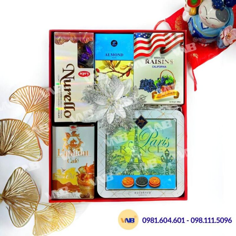 Hộp quà Tết HQ260500