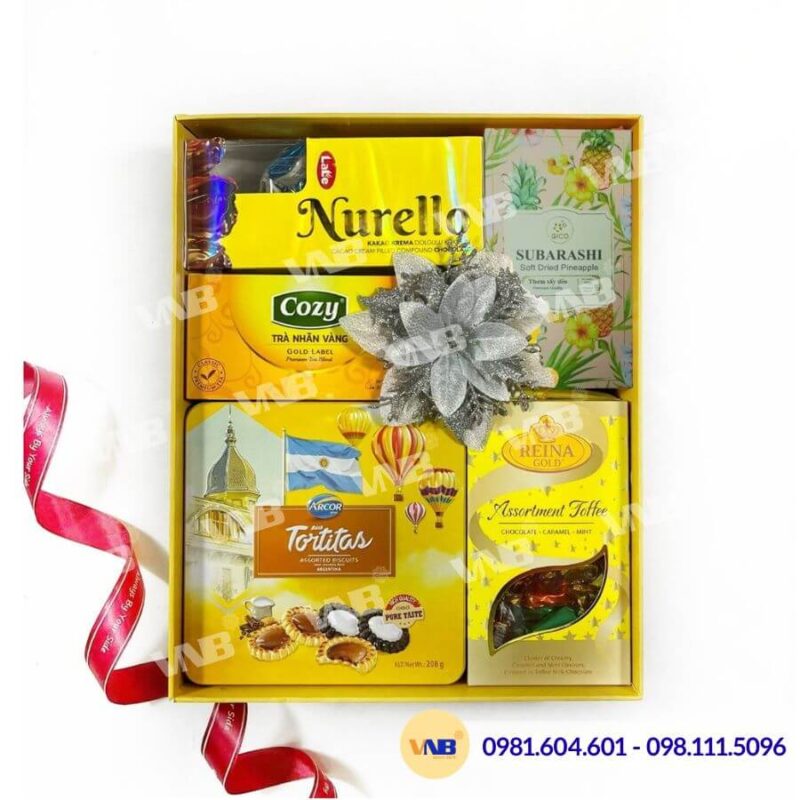 Hộp quà Tết HQ260500
