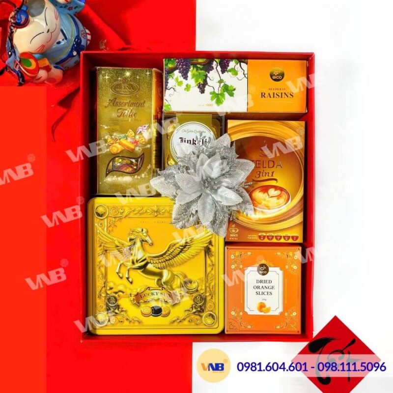 Hộp quà Tết HQ260500