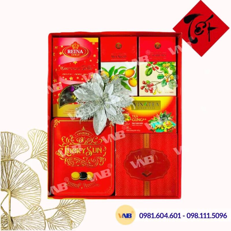 Hộp quà Tết HQ260505