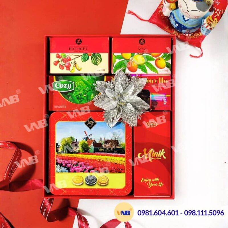 Hộp quà Tết HQ260505