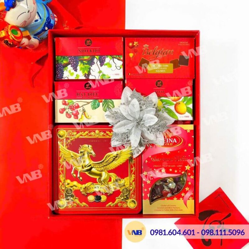 Hộp quà Tết HQ260520
