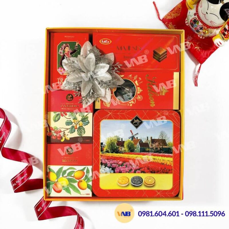 Hộp quà Tết HQ260540