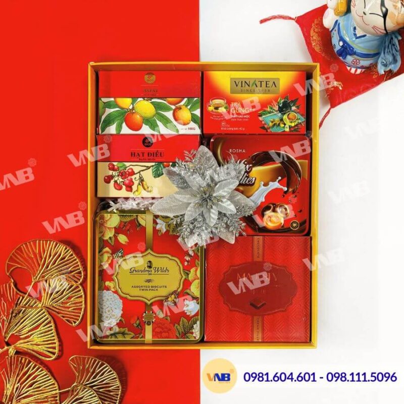 Hộp quà Tết HQ260595