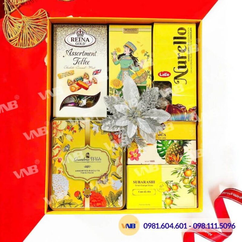 Hộp quà Tết HQ260615